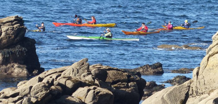 Kayak de mer en Bretagne 18-19 novembre P1060505